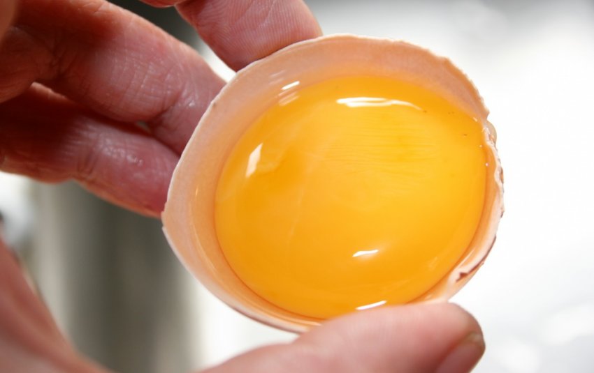 Яєчний жовток Яєчний жовток