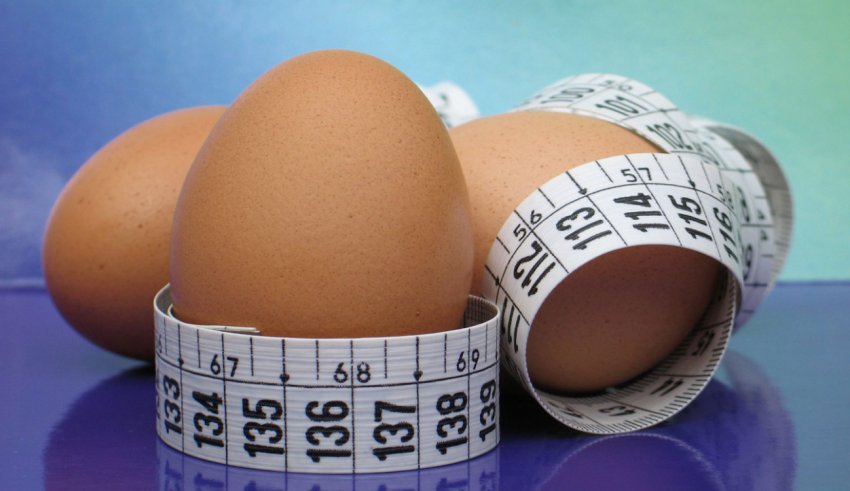 Користь курячих яєць для схуднення Користь курячих яєць для схуднення