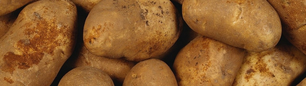 Майбутнє за пакетами з картоплі