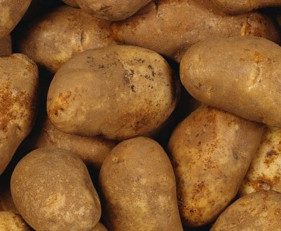 Майбутнє за пакетами з картоплі