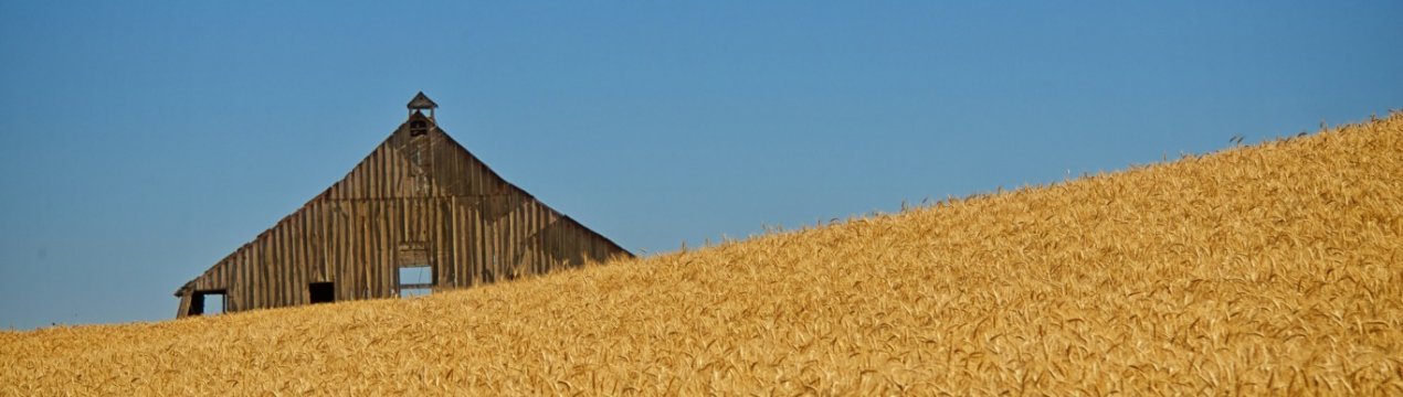 Майже 3,5 тонни зерна згоріли на Харківщині