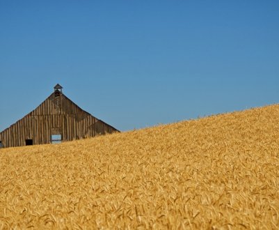 Майже 3,5 тонни зерна згоріли на Харківщині