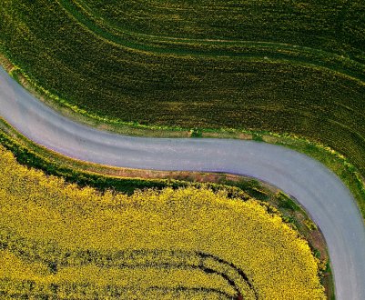 Скасування мораторію на землю — скасують