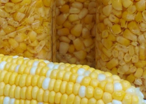 Полезна ли консервированная кукуруза