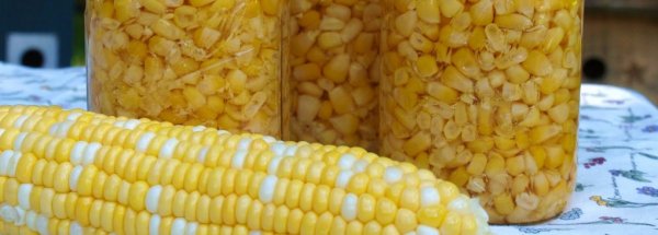 Вредна ли кукуруза в банках