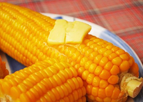 Користь і шкода вареної кукурудзи для організму людини