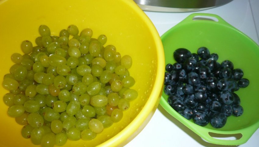 Виноград для варення Виноград для варення