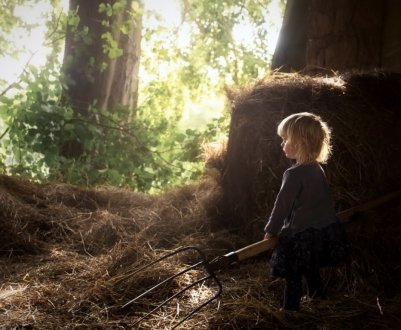 Фермери-початківці отримають 60 тисяч гривень