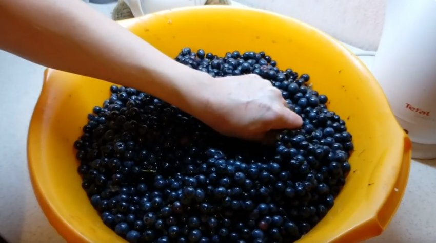 Приготування вина з чорного винограду