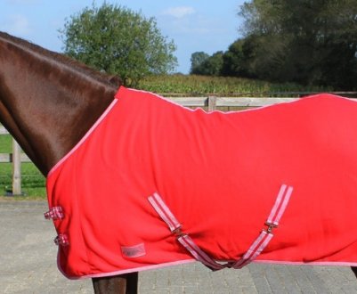 Як вибрати і зробити своїми руками амуніцію для коня