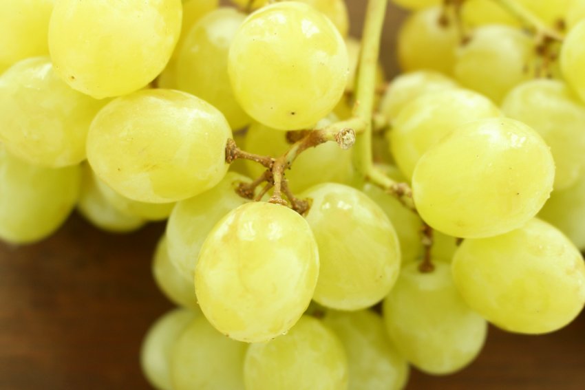 Белый виноград