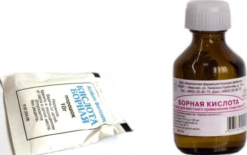 Борна кислота для обробки помідор Борна кислота для обробки помідор