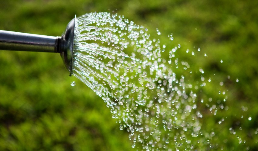 Полив Полив