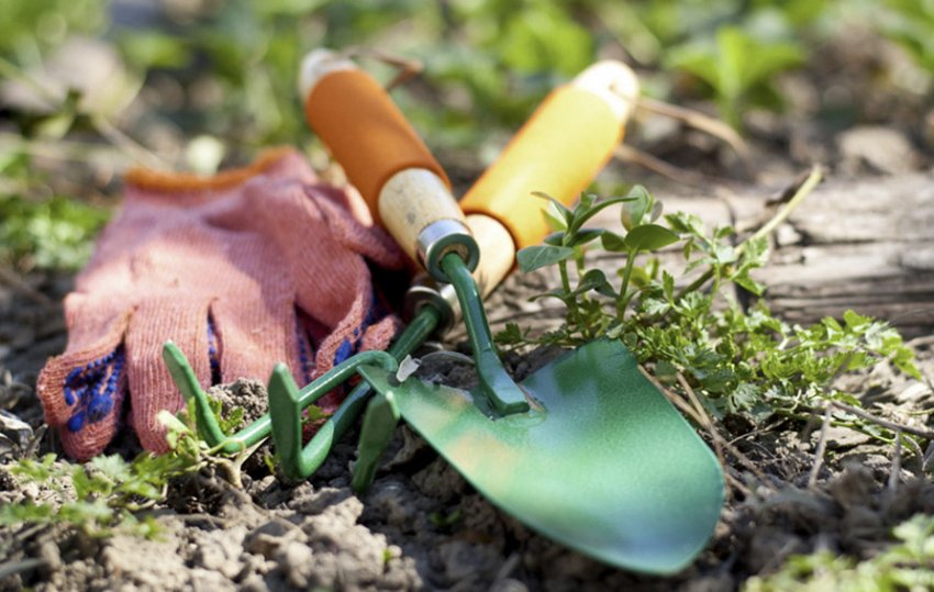 Прополка грунту