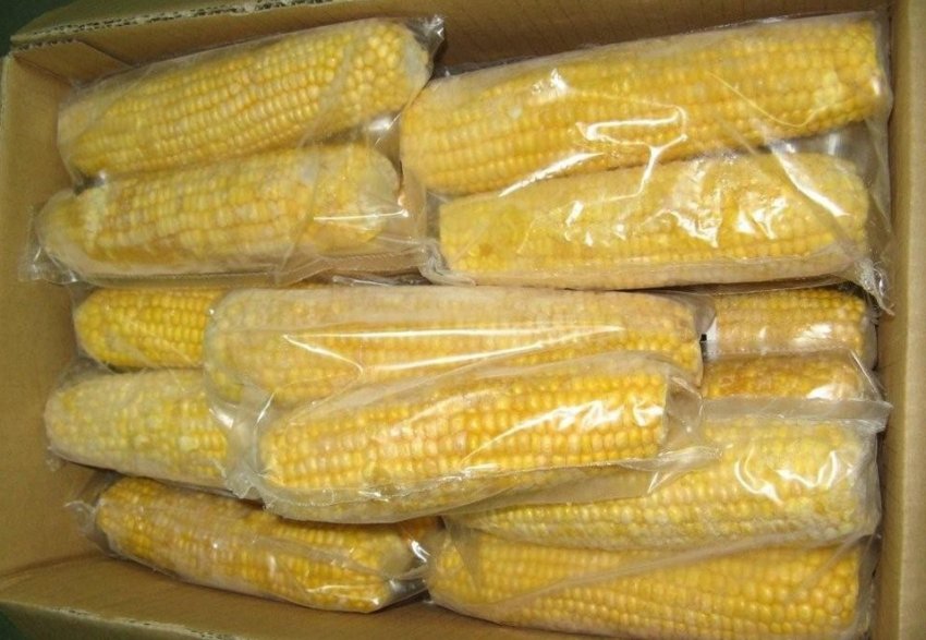 Как хранить кукурузу