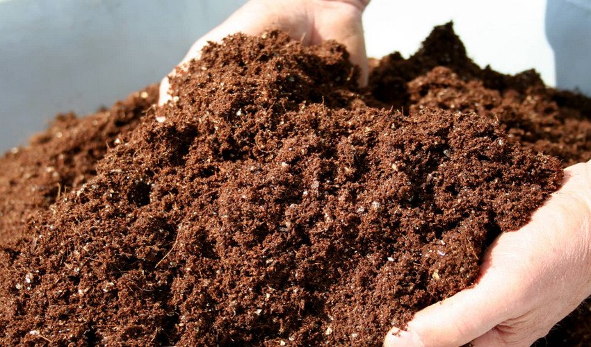 Перегноєм Перегноєм