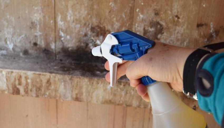 Прибирання в курнику Прибирання в курнику