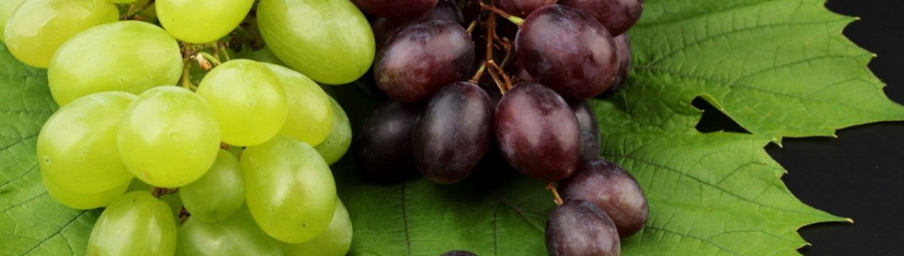 Можна їсти виноград при панкреатиті?