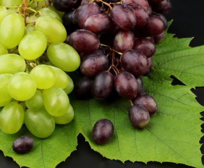 Можна їсти виноград при панкреатиті?