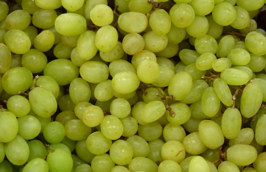 Какие витамины виноград киш миш thumbnail