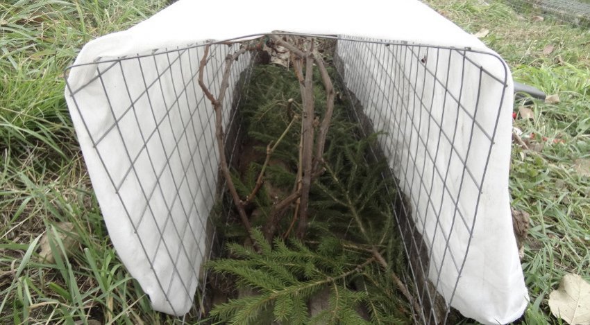 Укриття на зиму