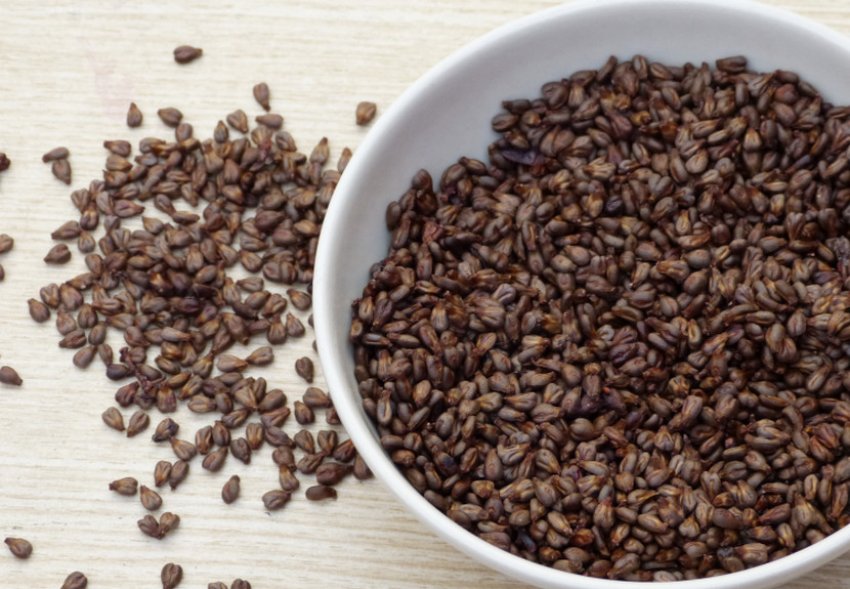 Насіння винограду