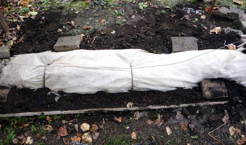 Укриття на зиму