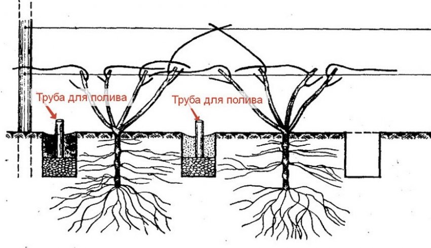 Підземний полив