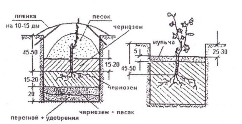 Схема подготовки ямы