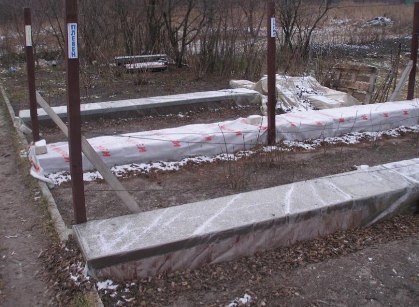 Укрытие винограда Укрытие винограда