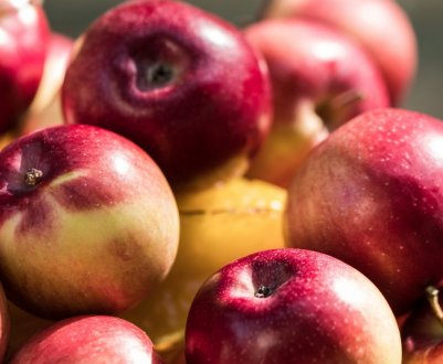 Яблук так багато, що вони гниють в садах