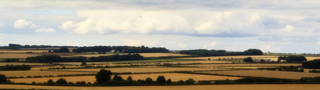 Латифундія або город?