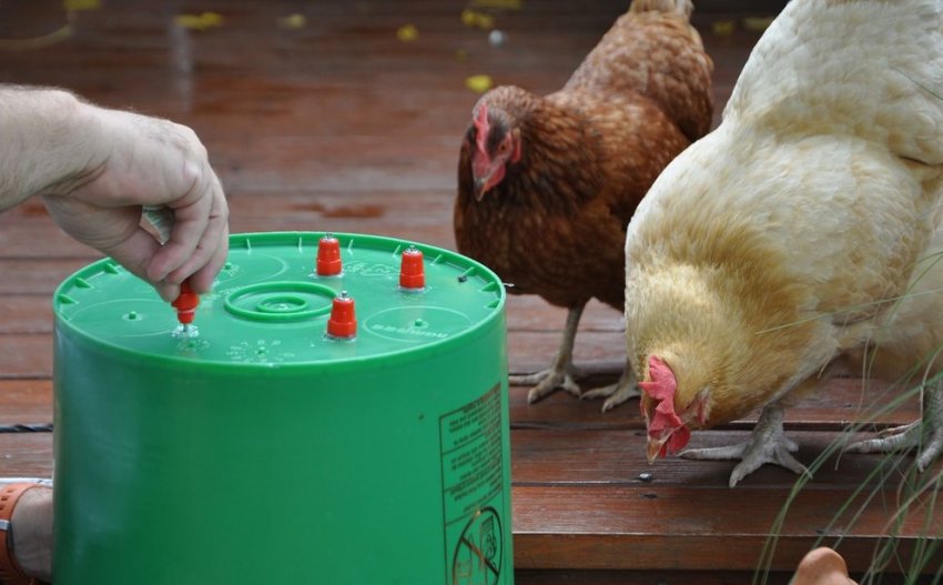 Ниппельная автопоилка Ниппельная автопоилка