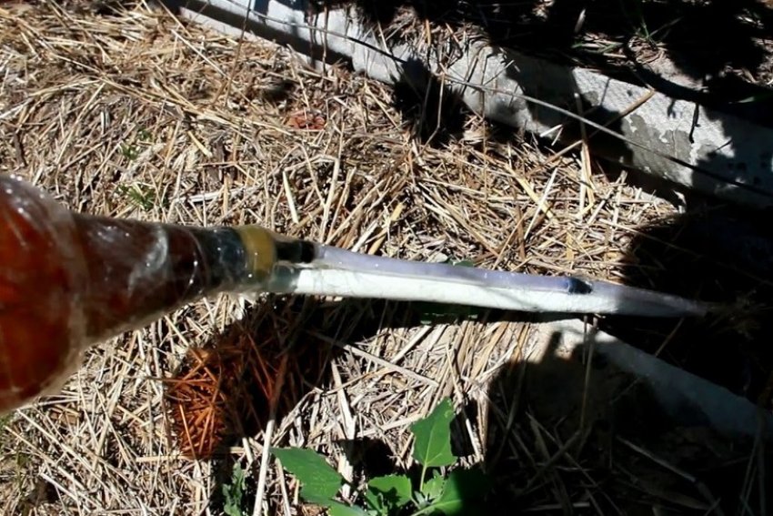 Підживлення винограду компостом Підживлення винограду компостом