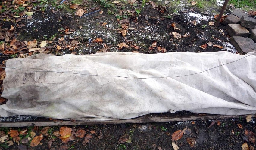 Укриття на зиму