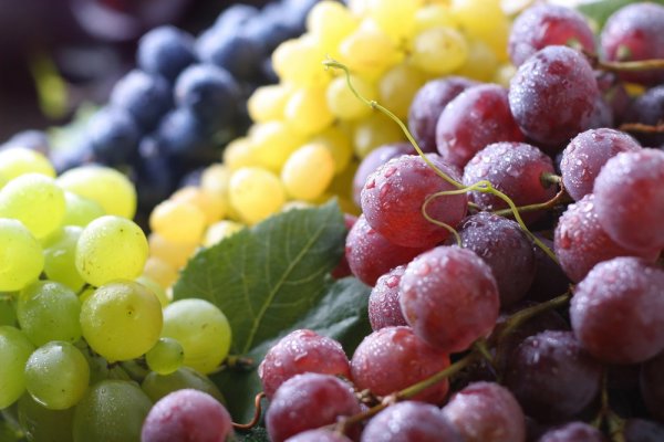 Можно ли поправиться от винограда