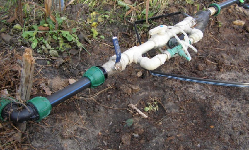 Крапельний полив для винограду Крапельний полив для винограду