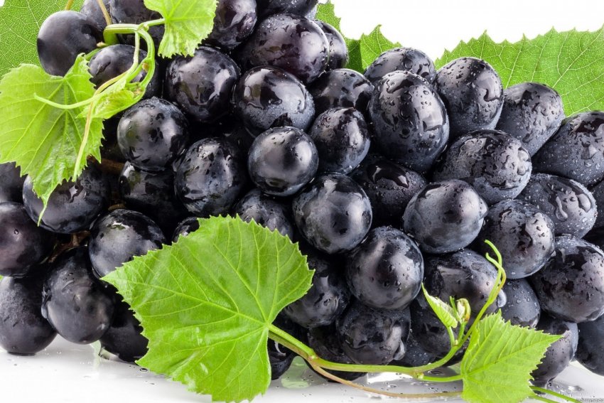 Пищевая ценность чёрного винограда