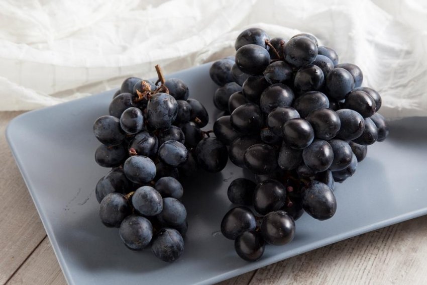 Чёрный виноград при похудении
