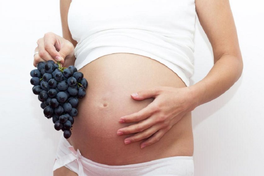 Чёрный виноград при беременности