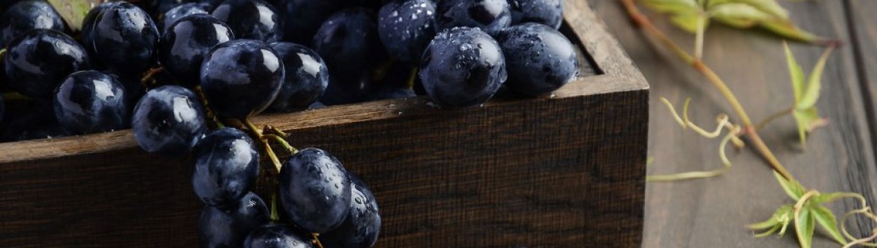 Сорт винограду Кишмиш чорний. Користь і шкода