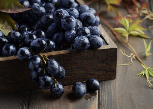 Сорт винограду Кишмиш чорний. Користь і шкода