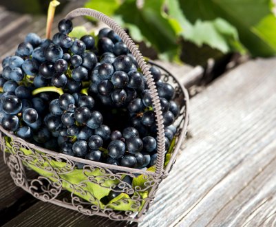 Калорійність, користь і шкода чорного винограду