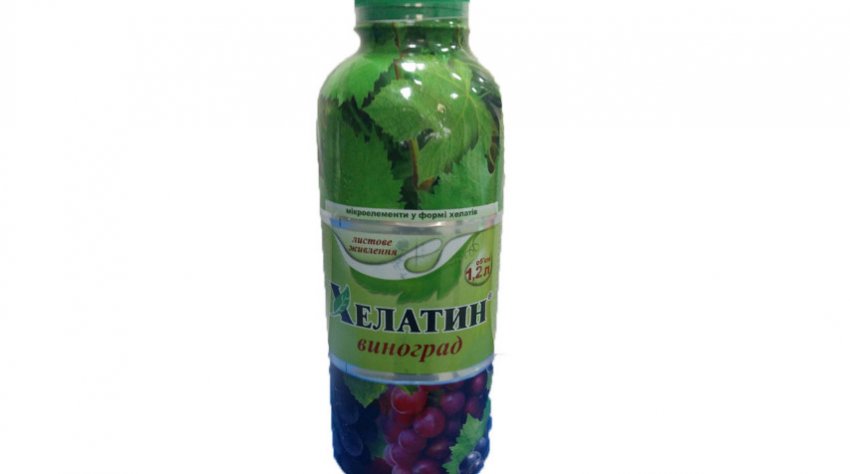 Хелатин виноград