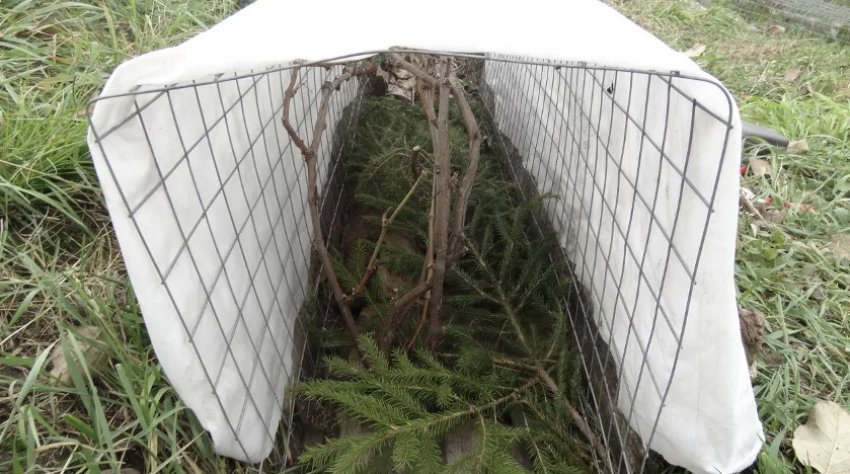 Укриття на зиму