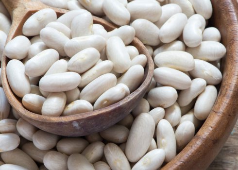 Корисні властивості білої квасолі