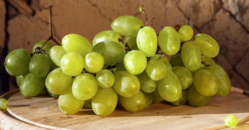 Виноград