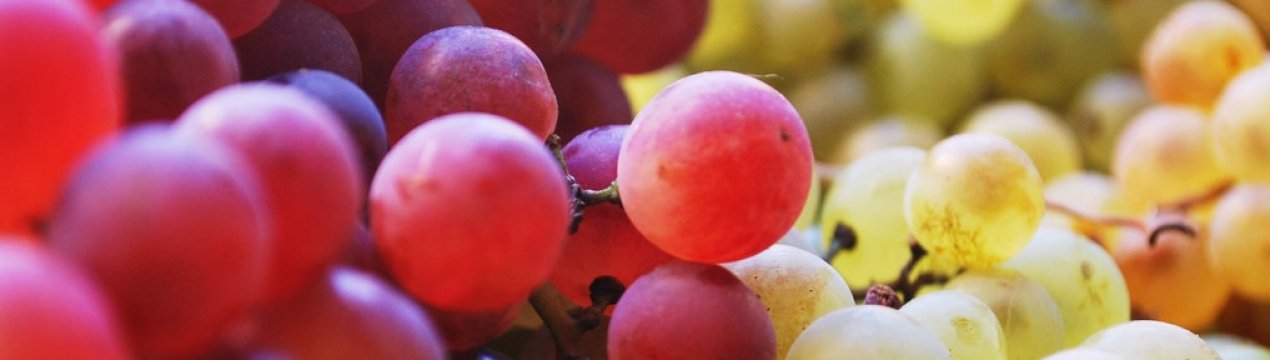 Виноград — це ягода або фрукт