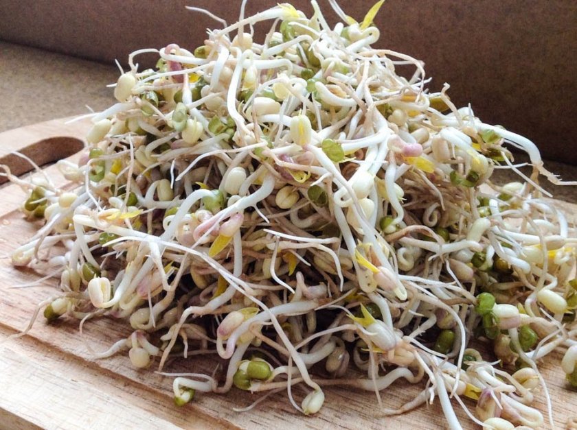 Условия выращивания Условия выращивания