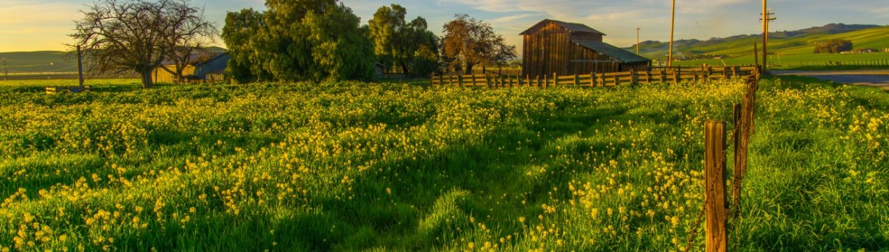 Найдорожча земля — на батьківщині Котляревського